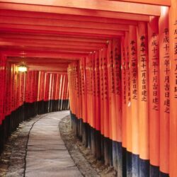 Torii Gates, Kyoto, Japan