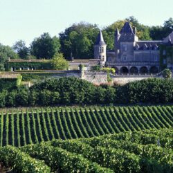 Vineyards in Bordeaux, France wallpapers and image