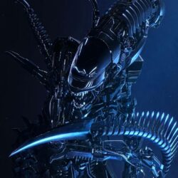 Wallpapers For > Blue Alien Wallpapers