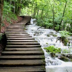 Croatia’s Plitvice Lakes, 16 lakes in the mountains covered with