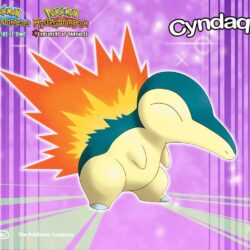 Cyndaquil Wallpapers at Wallpaperist