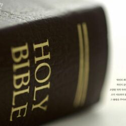 scripture & bible verse
