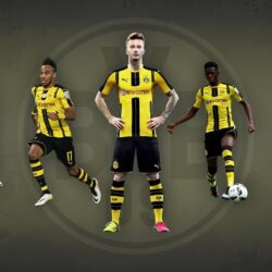 Wallpapers with some of my fav players : borussiadortmund