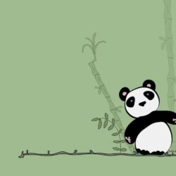 Panda Wallpapers and Pictures