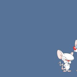 Pinky And The Brain Wallpapers 1