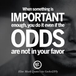 20 Elon Musk Quotes on Business, Risk and The Future