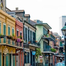 New Orleans Live Wallpapers