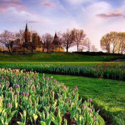Wallpapers Canada Parks Tulips Sky Ottawa Ontario Lawn Trees