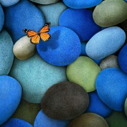 Orange butterfly on blue, green and black pebble illustration HD
