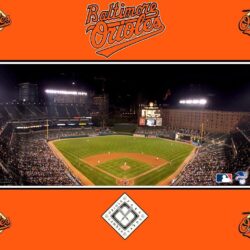 Baltimore Orioles Wallpapers
