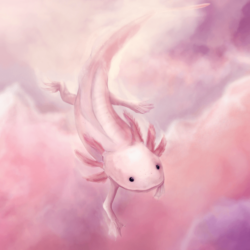 Animals Anonymous: Axolotl and Olm by Mouselemur