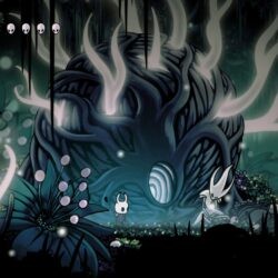 47 Hollow Knight HD Wallpapers