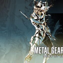 Metal Gear Solid 2: Sons of Liberty HD Wallpapers and Backgrounds