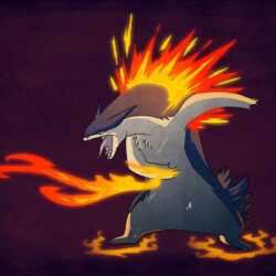 Typhlosion by Exobio