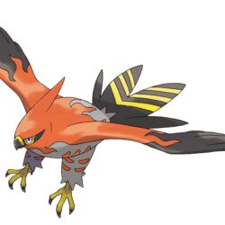 Pokemon X & Pokemon Y Version image Talonflame HD wallpapers and