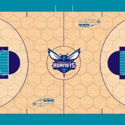 NLSC Forum • Courts by Pirate
