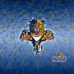 Florida Panthers Wallpapers