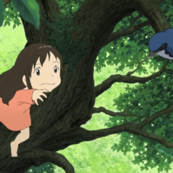 Ame and the bird, Wolf Children Wallpapers and Backgrounds Image