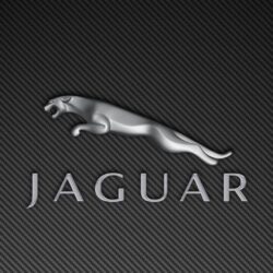 Jaguar Logo HD Wallpapers 1080p Wallpapers