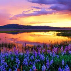 Camas Prairie at Sunset, Idaho, USA widescreen wallpapers