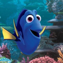 Finding Dory Wallpaper, Movies: Finding Dory, nemo, fish, Pixar