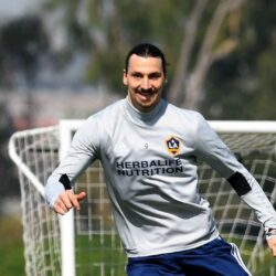 Knee injury showed Zlatan isn’t invincible, but also made him