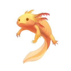 Axolotl Clipart Adorable