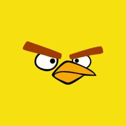 20 Best HD Angry Birds Wallpapers