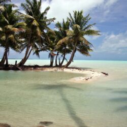 Laguna, Kiribati, sea, Palms