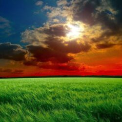Red sunset fields Wallpapers