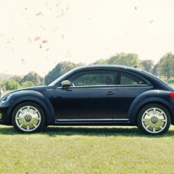 car, Volkswagen, Fusca Wallpapers HD / Desktop and Mobile Backgrounds