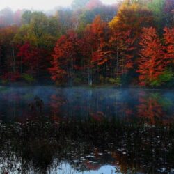 Forests: Chatfield Hollow Trails Colors Boulders Connecticut Autumn