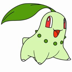 Chikorita :3 by SlenderWarz