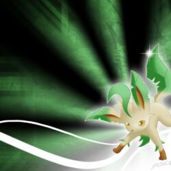 Leafeon image leafeon HD wallpapers and backgrounds photos