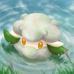 Cottonee strategy guide!