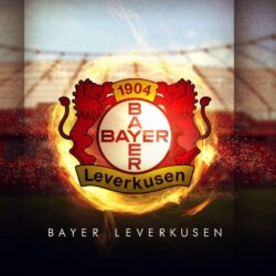 Bayer Leverkusen Wallpapers HD 2013