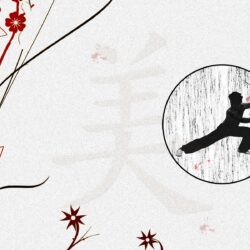 Pix For > Kung Fu Wallpapers
