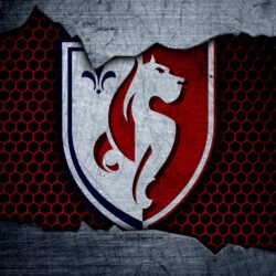 Lille OSC Wallpapers 12