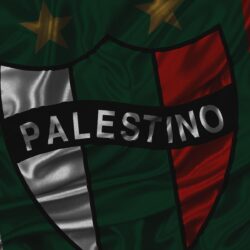 Palestino opt – Club deportivo Palestino S.A.D.P