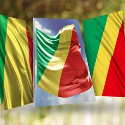 Congo Republic Flag Wallpapers for Android