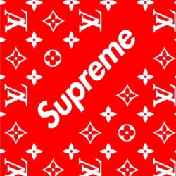 Supreme x Louis Vuitton