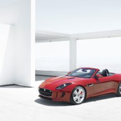 2014 Jaguar F Type Wallpapers