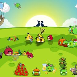 Angry Birds Party HD desktop wallpapers