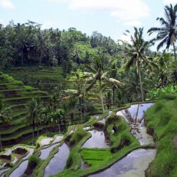 Bali Package 5 Days / 4 Nights