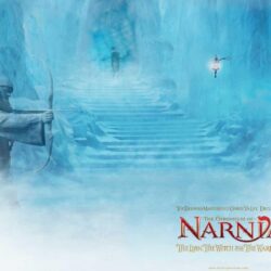 Narnia 7