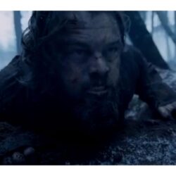 Download 4K The Revenant Wallpapers