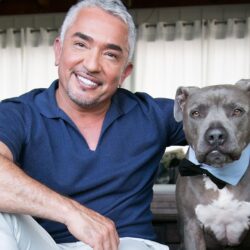 Cesar Millan’s rules when getting a new puppy