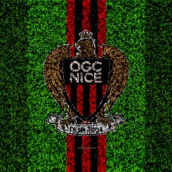 Download wallpapers OGC Nice, 4k, football lawn, logo, French