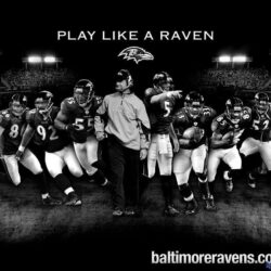 1000+ image about Baltimore Ravens Football
