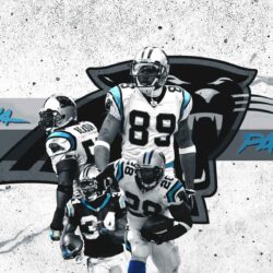 Carolina Panthers Wallpapers HD